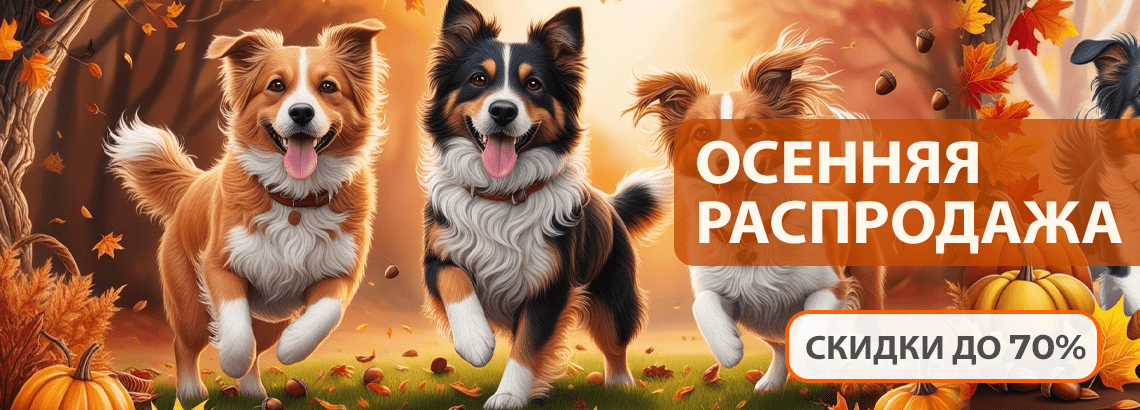Осенняя распродажа - скидки до 70%!