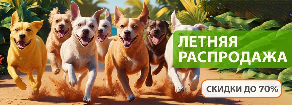 Летняя распродажа - скидки до 70%!