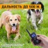 Электронный ошейник для дрессировки PaiPaitek PD-520N (S) для собак от 2 кг.
