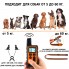 Электронный ошейник SMX21 для собак от 5 кг.